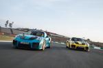 Porsche 911 GT2 RS 2017 года (WW)